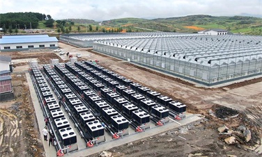 助力綠色農業發展!貴州3萬平蔬菜大棚建設碧淶空氣能采暖工程